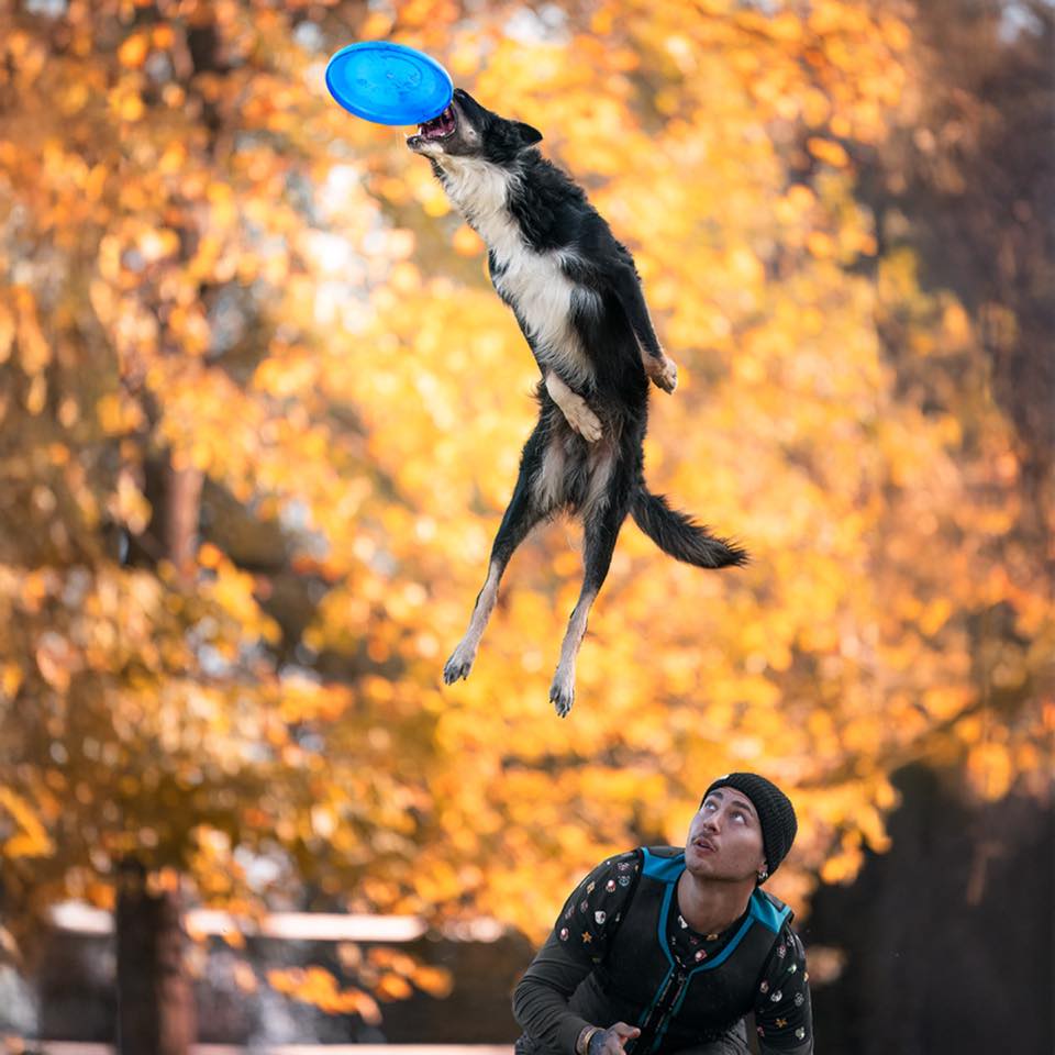 Ms <span>Jimmy S</span>